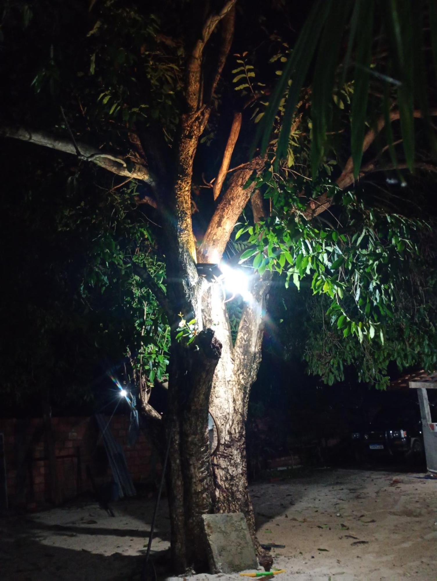 Pousada Shalom E Hostel Holly Land Santo Amaro do Maranhao エクステリア 写真