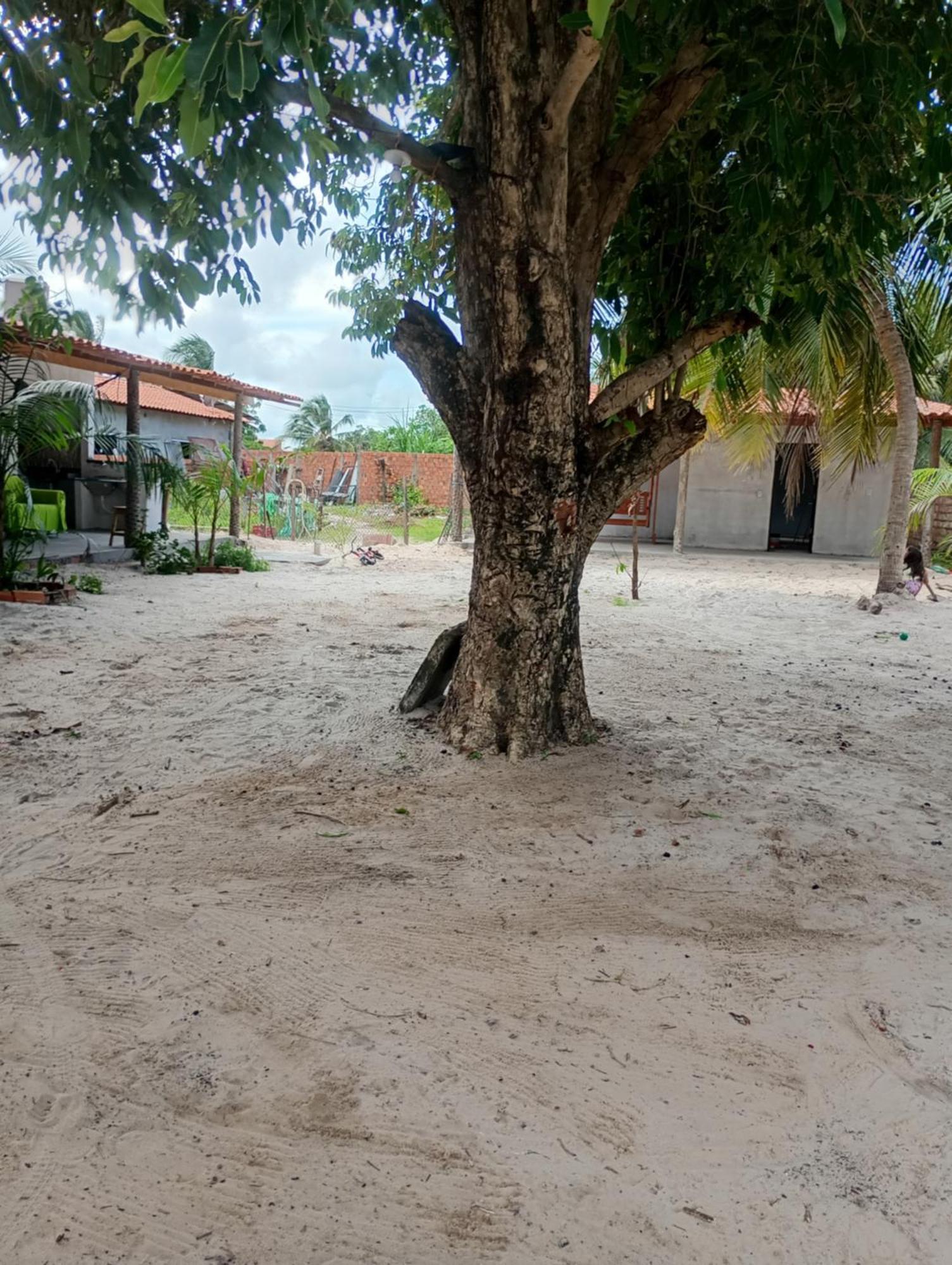 Pousada Shalom E Hostel Holly Land Santo Amaro do Maranhao エクステリア 写真
