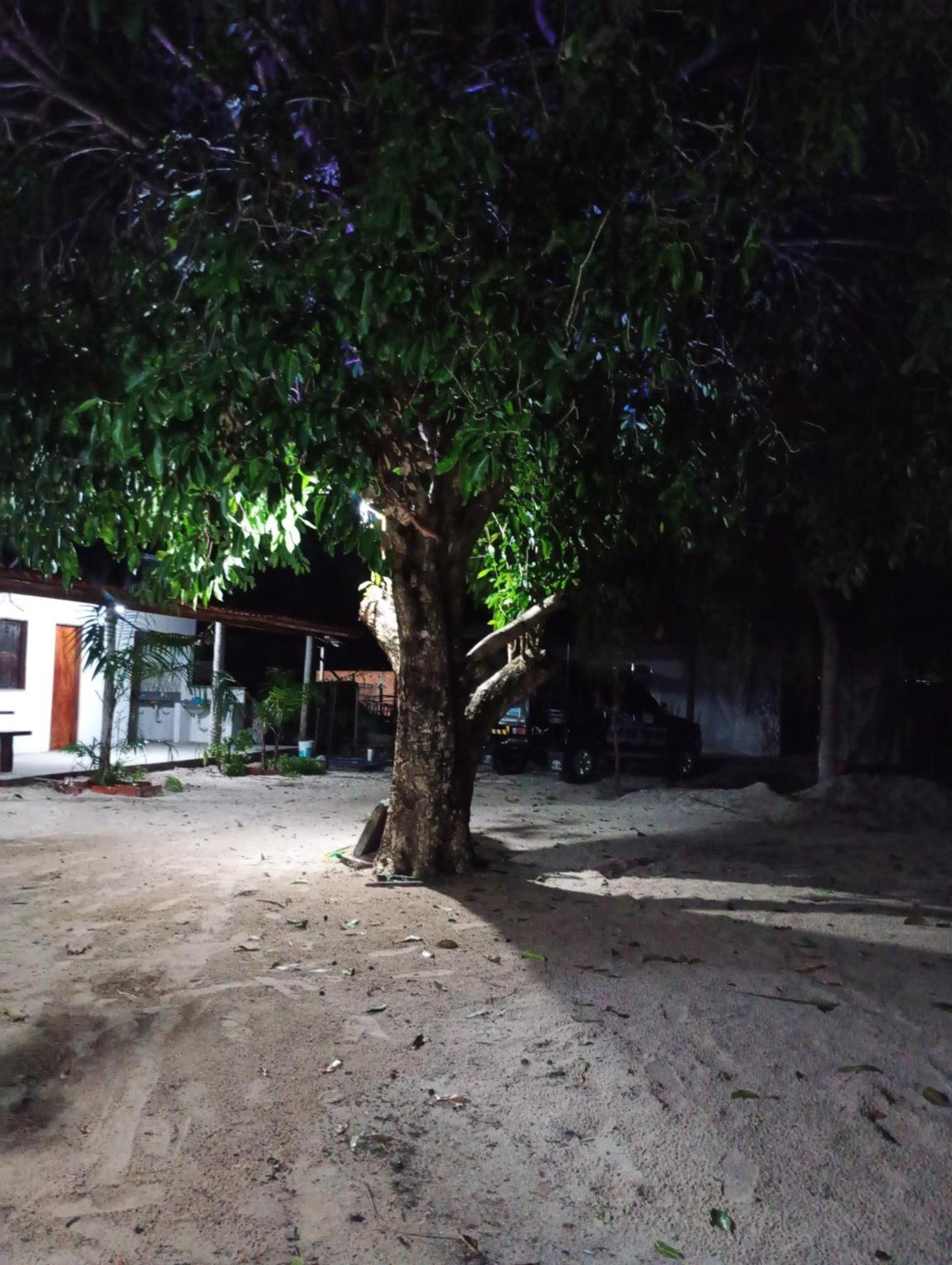 Pousada Shalom E Hostel Holly Land Santo Amaro do Maranhao エクステリア 写真