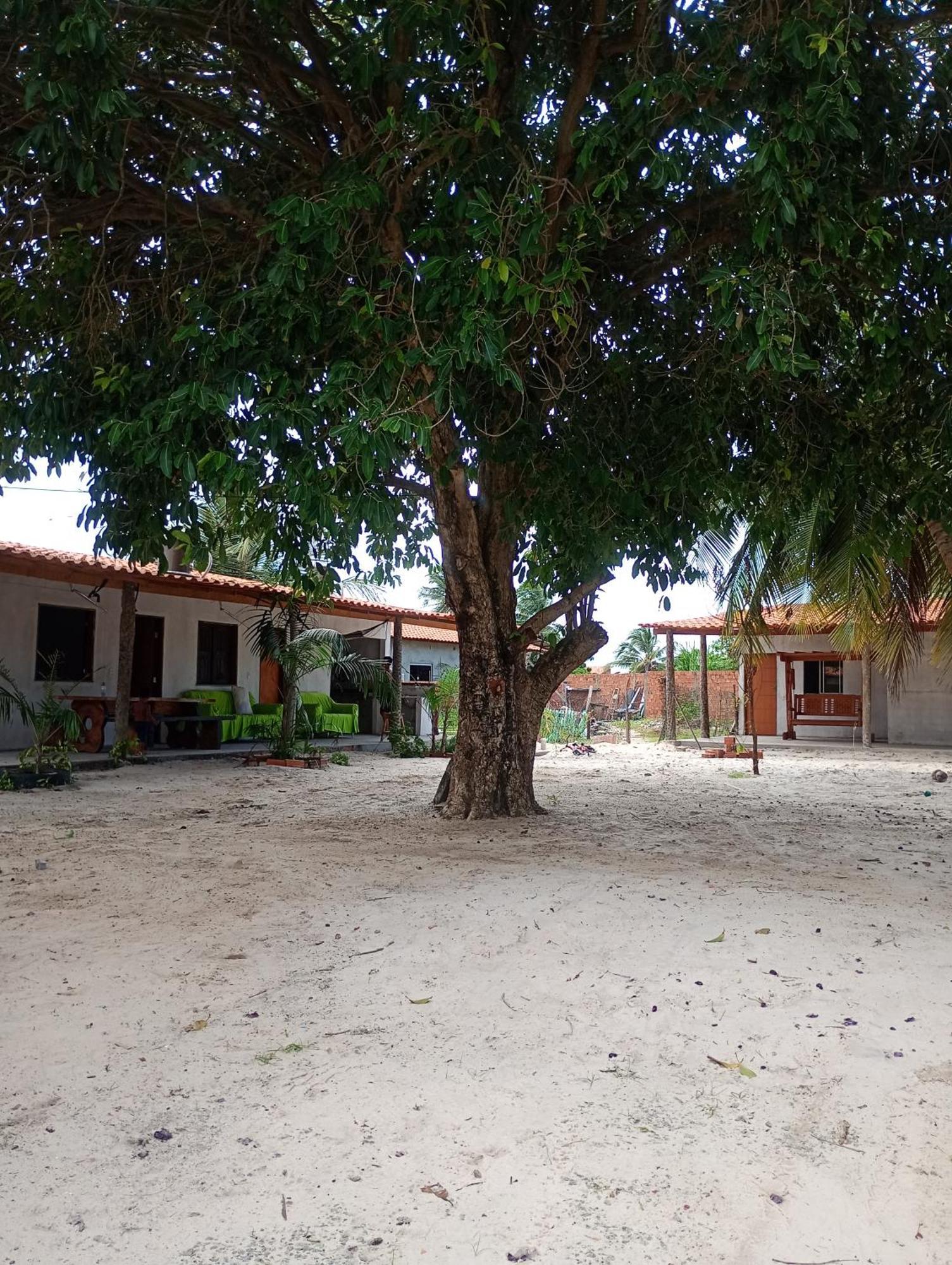 Pousada Shalom E Hostel Holly Land Santo Amaro do Maranhao エクステリア 写真