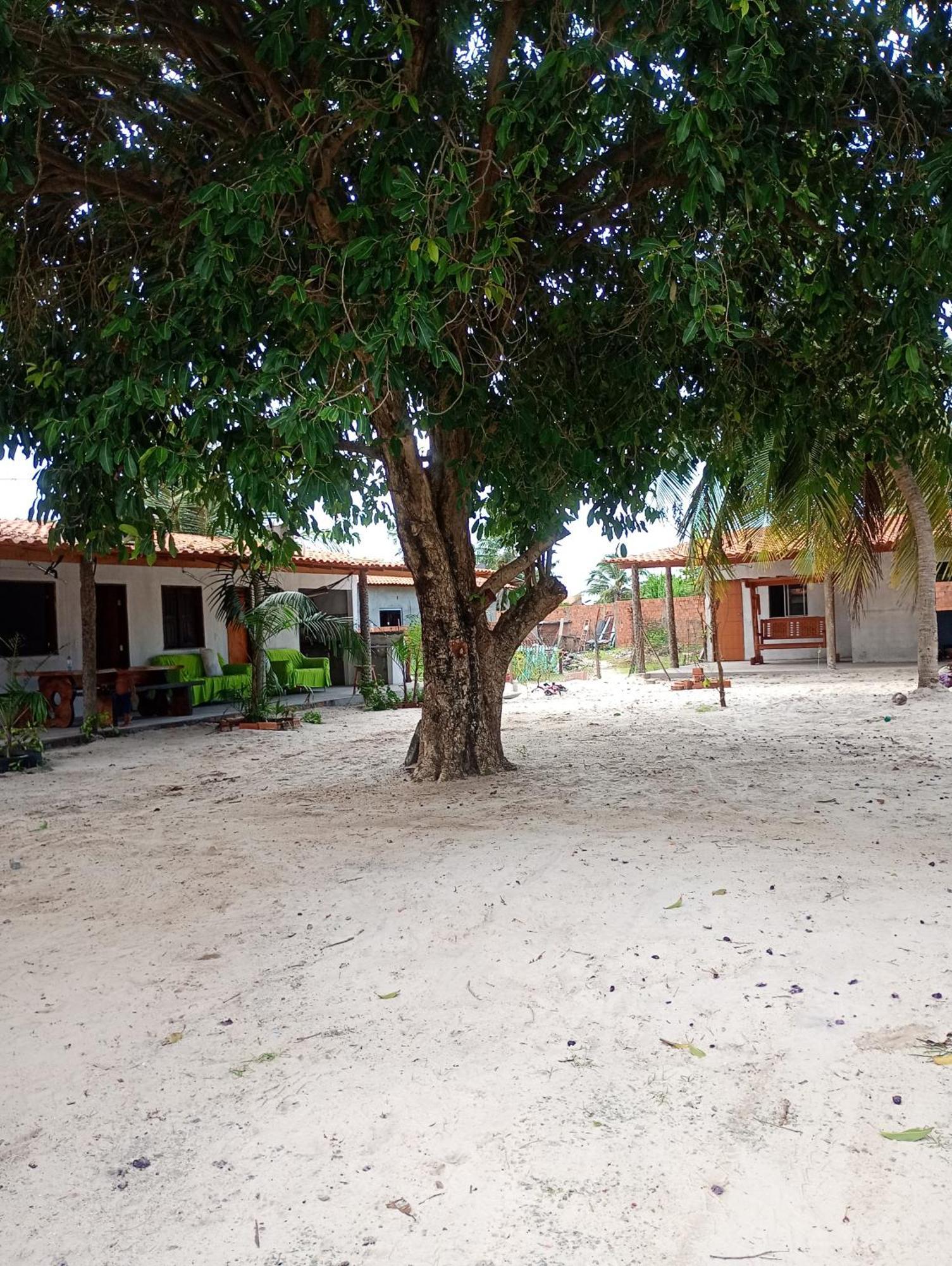 Pousada Shalom E Hostel Holly Land Santo Amaro do Maranhao エクステリア 写真